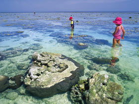 Southern Great Barrier Reef - Accommodation Sunshine Coast 1