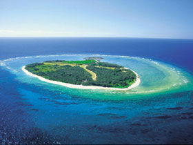 Southern Great Barrier Reef - Accommodation Sunshine Coast 0