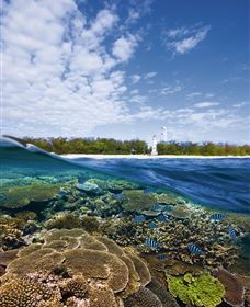 Southern Great Barrier Reef - Accommodation Sunshine Coast 2