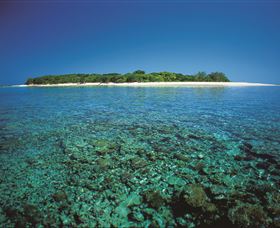 Southern Great Barrier Reef - Accommodation Sunshine Coast 3