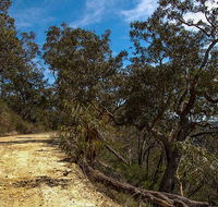 Parr State Conservation Area - Accommodation Sunshine Coast