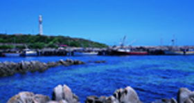 King Island TAS Accommodation Sunshine Coast