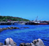 King Island Dairies - Accommodation Sunshine Coast