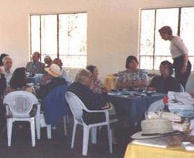 Calamunnda Camel Farm  - Accommodation Sunshine Coast 1
