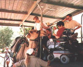 Calamunnda Camel Farm  - Accommodation Sunshine Coast 3