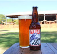 Feral Brewing Company - Accommodation Sunshine Coast