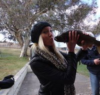 Eucumbene Trout Farm - Accommodation Sunshine Coast