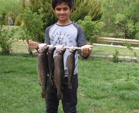 Eucumbene Trout Farm - Accommodation Sunshine Coast 3