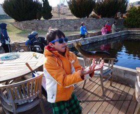 Eucumbene Trout Farm - Accommodation Sunshine Coast 2