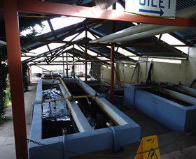 Eucumbene Trout Farm - Accommodation Sunshine Coast 5