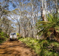 Barrington trail - Accommodation Sunshine Coast