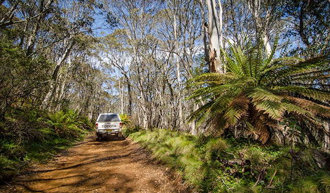 Barrington Trail - Accommodation Sunshine Coast 0