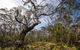 Barrington Trail - thumb 1