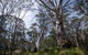 Barrington Trail - thumb 3
