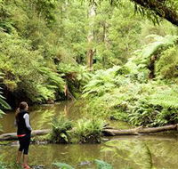Morwell National Park - Accommodation Sunshine Coast