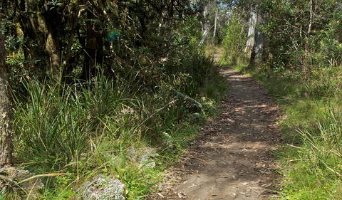 Devils Hole Lookout Walk And Picnic Area - Accommodation Sunshine Coast 2