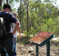 Finchley cultural walk - Accommodation Sunshine Coast