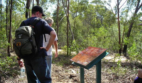 Finchley Cultural Walk - Accommodation Sunshine Coast 0