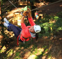 Trees Adventure Grose River Park - Accommodation Sunshine Coast