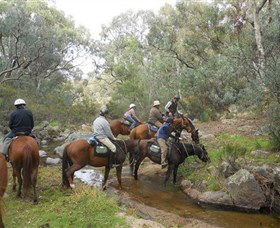 Snowy Wilderness - Accommodation Sunshine Coast 5