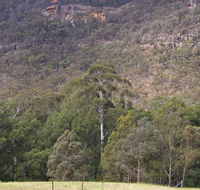 Bangadilly National Park - Accommodation Sunshine Coast