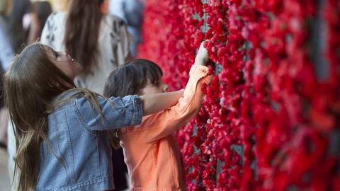 Australian War Memorial - Accommodation Sunshine Coast 5