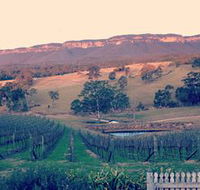 Dryridge Estate - Accommodation Sunshine Coast