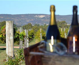 Ugly Duckling Wines - Accommodation Sunshine Coast 1