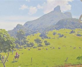 Aitkens Australia In The Round - Accommodation Sunshine Coast 2