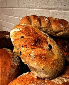 Bakehouse On Park - Accommodation Sunshine Coast 3