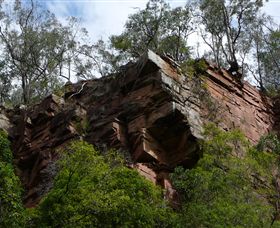 Mitchell River Walking Track - Accommodation Sunshine Coast 2