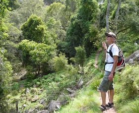 Mitchell River Walking Track - Accommodation Sunshine Coast 1