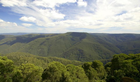 Barrington Tops National Park - Accommodation Sunshine Coast 0
