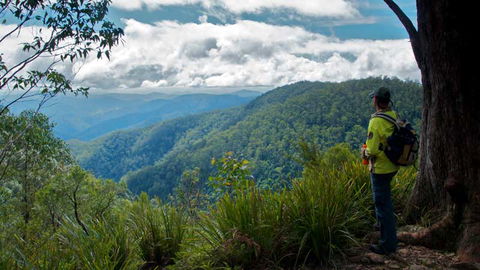 Barrington Tops National Park - Accommodation Sunshine Coast 3