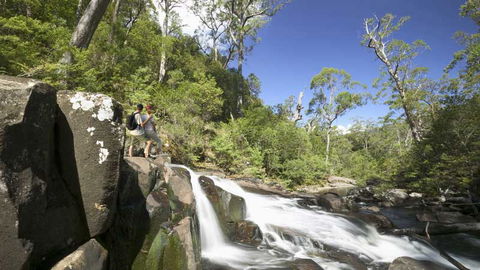 Barrington Tops National Park - Accommodation Sunshine Coast 2