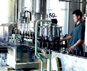 Sun Masamune Sake Brewery - Accommodation Sunshine Coast 2
