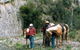 Yarramba Horse Riding - thumb 0