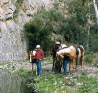 Yarramba Horse Riding - Accommodation Sunshine Coast