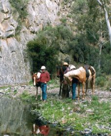 Yarramba Horse Riding - Accommodation Sunshine Coast 0