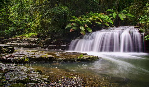 Rocky Crossing Walk - Accommodation Sunshine Coast 0