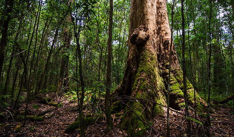 Rocky Crossing Walk - Accommodation Sunshine Coast 1