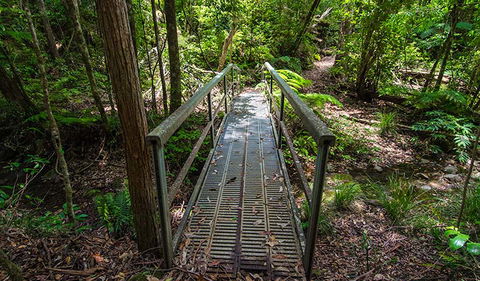 Rocky Crossing Walk - Accommodation Sunshine Coast 2