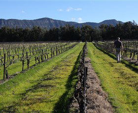 Around Hermitage Wine And Food Trail Hunter Valley - Accommodation Sunshine Coast 1