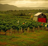Around Hermitage Wine and Food Trail Hunter Valley - Accommodation Sunshine Coast