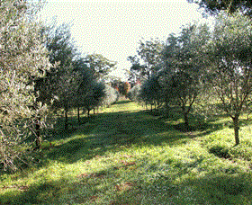 Langdale Farm - Accommodation Sunshine Coast