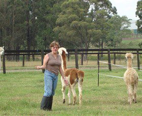 Langdale Farm - Accommodation Sunshine Coast 4
