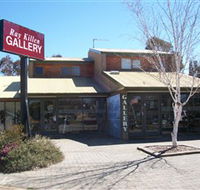 Ray Killen Gallery - Accommodation Sunshine Coast