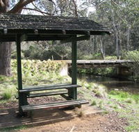 Barrington Tops State Forest - Accommodation Sunshine Coast