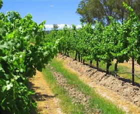 Misty Glen Wines And Cottage - Accommodation Sunshine Coast 1
