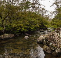 River walking track - Accommodation Sunshine Coast